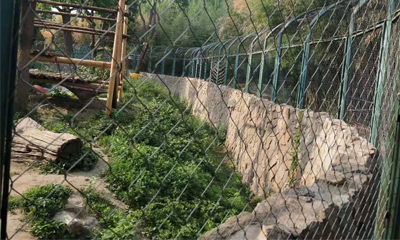 Le grillage de câble d'acier inoxydable est le matériel idéal pour la construction de zoo Le grillage de câble d'acier inoxydable est le matériel idéal pour la construction de zoo