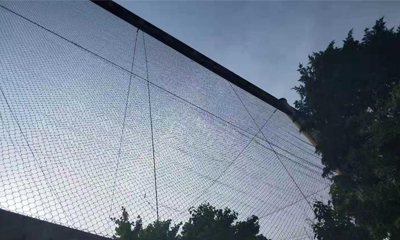Le grillage de câble d'acier inoxydable est le matériel idéal pour la construction de zoo Le grillage de câble d'acier inoxydable est le matériel idéal pour la construction de zoo