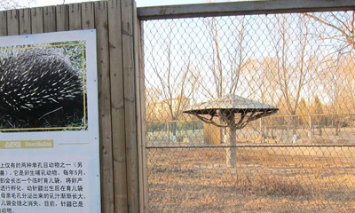 Maille de zoo