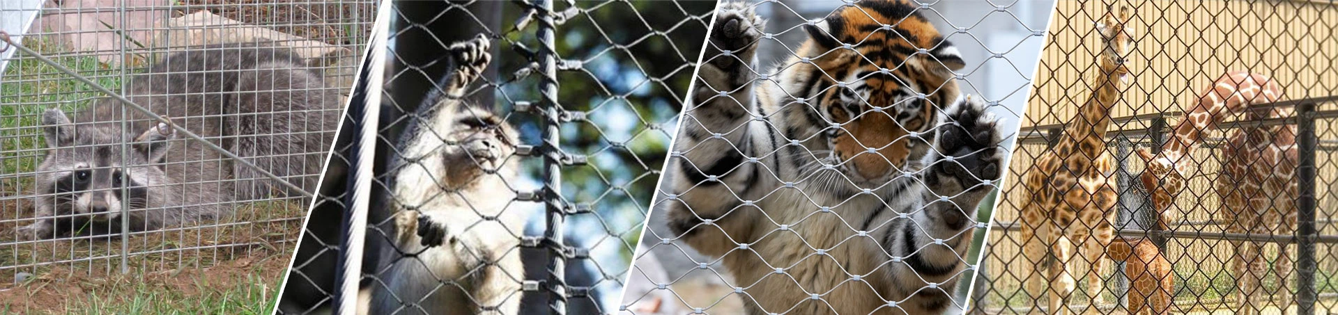 Maillage de zoo et maillage d&rsquo;enclos pour animaux